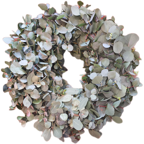 MVIMG_20260414_153331